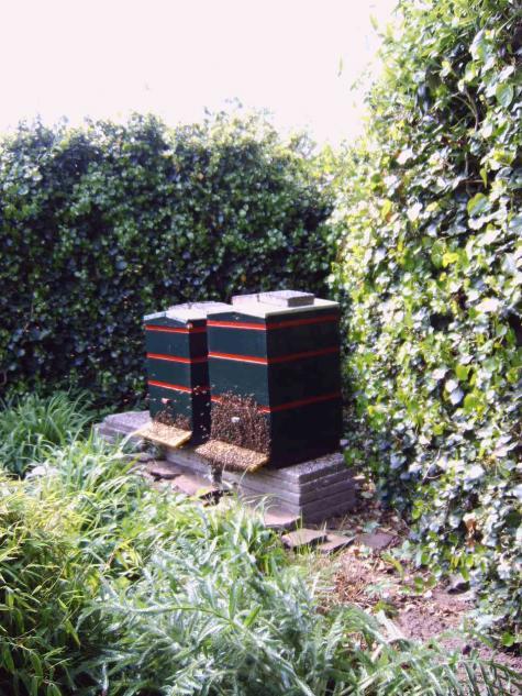afbeelding bijenkasten