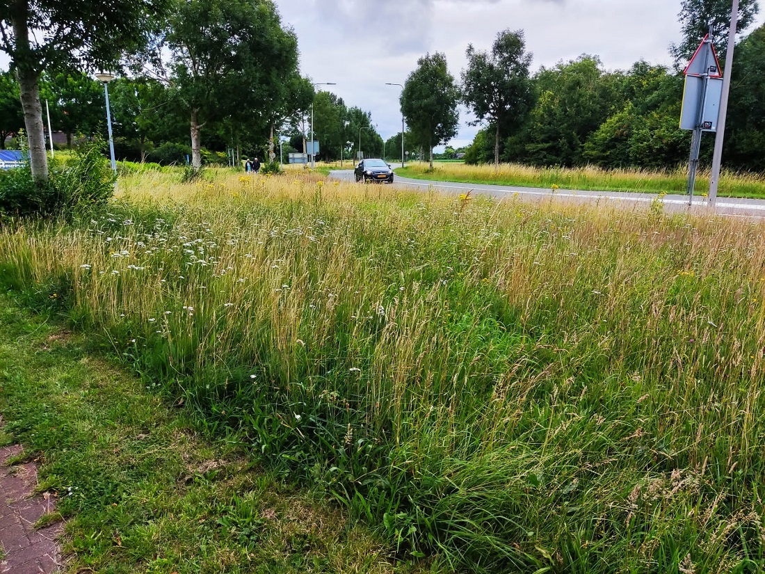 Ecoberm gemeente Meppel