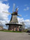 korenmolen De Sterrenberg